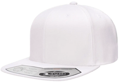 Flexfit 110 Premium Snapback Cap | 110F-BK-ONE