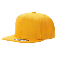 PS - Poly Snapback