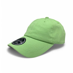 https://cdn.shopify.com/s/files/1/0683/3235/5887/files/lime1_f59789e1-f0d7-4f40-be47-a7bc268b083e.jpg?v=1738041900